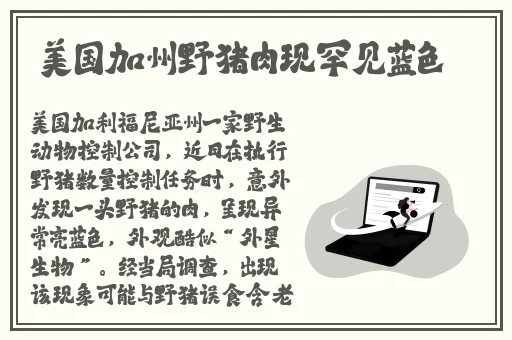午夜草莓成视频人app下载